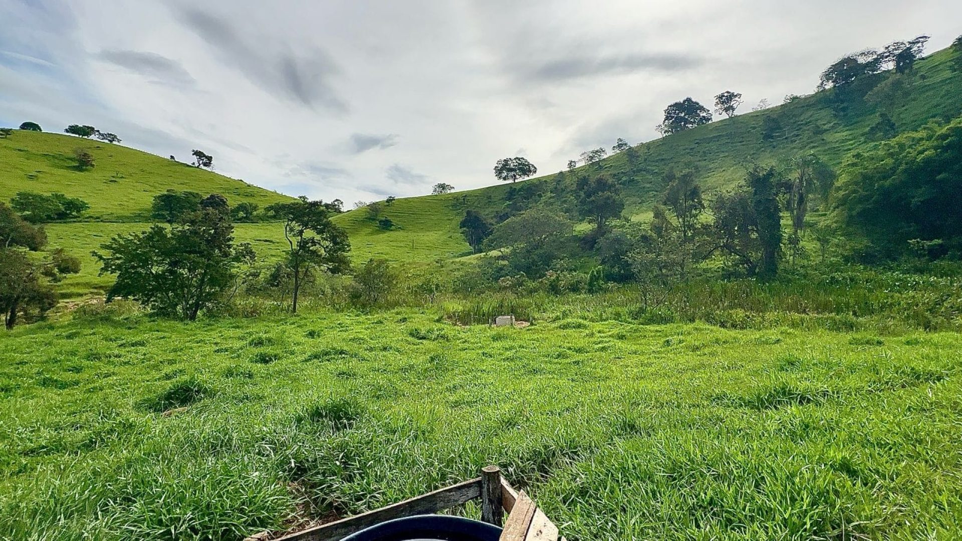 TERRENO RURAL DE 200.000 m² À VENDA EM CAMBUÍ NO SUL DE MINAS, TERRENO PARA VENDA EM CAMBUI, TERRENO PARA VENDER EM CAMBUI, TERRENO RURAL A VENDA NO SUL DE MINAS (18)