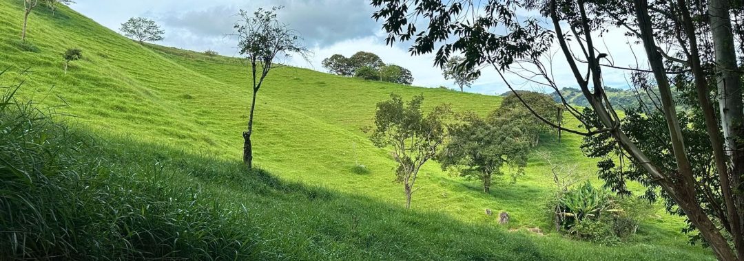 TERRENO RURAL DE 200.000 m² À VENDA EM CAMBUÍ NO SUL DE MINAS, TERRENO PARA VENDA EM CAMBUI, TERRENO PARA VENDER EM CAMBUI, TERRENO RURAL A VENDA NO SUL DE MINAS (19)