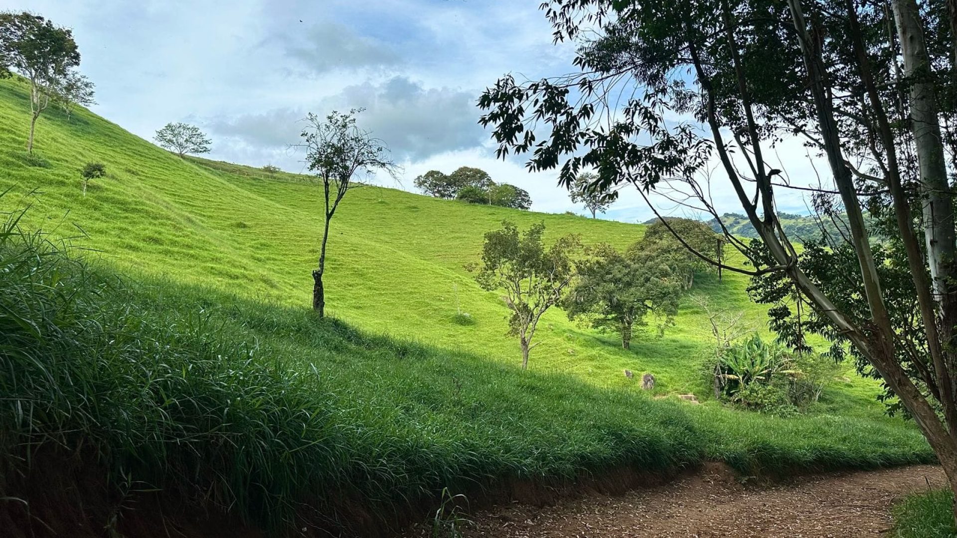 TERRENO RURAL DE 200.000 m² À VENDA EM CAMBUÍ NO SUL DE MINAS, TERRENO PARA VENDA EM CAMBUI, TERRENO PARA VENDER EM CAMBUI, TERRENO RURAL A VENDA NO SUL DE MINAS (19)