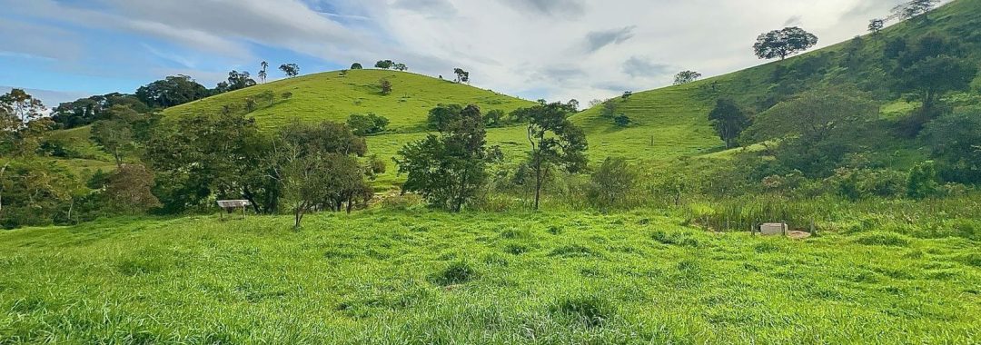 TERRENO RURAL DE 200.000 m² À VENDA EM CAMBUÍ NO SUL DE MINAS, TERRENO PARA VENDA EM CAMBUI, TERRENO PARA VENDER EM CAMBUI, TERRENO RURAL A VENDA NO SUL DE MINAS (20)