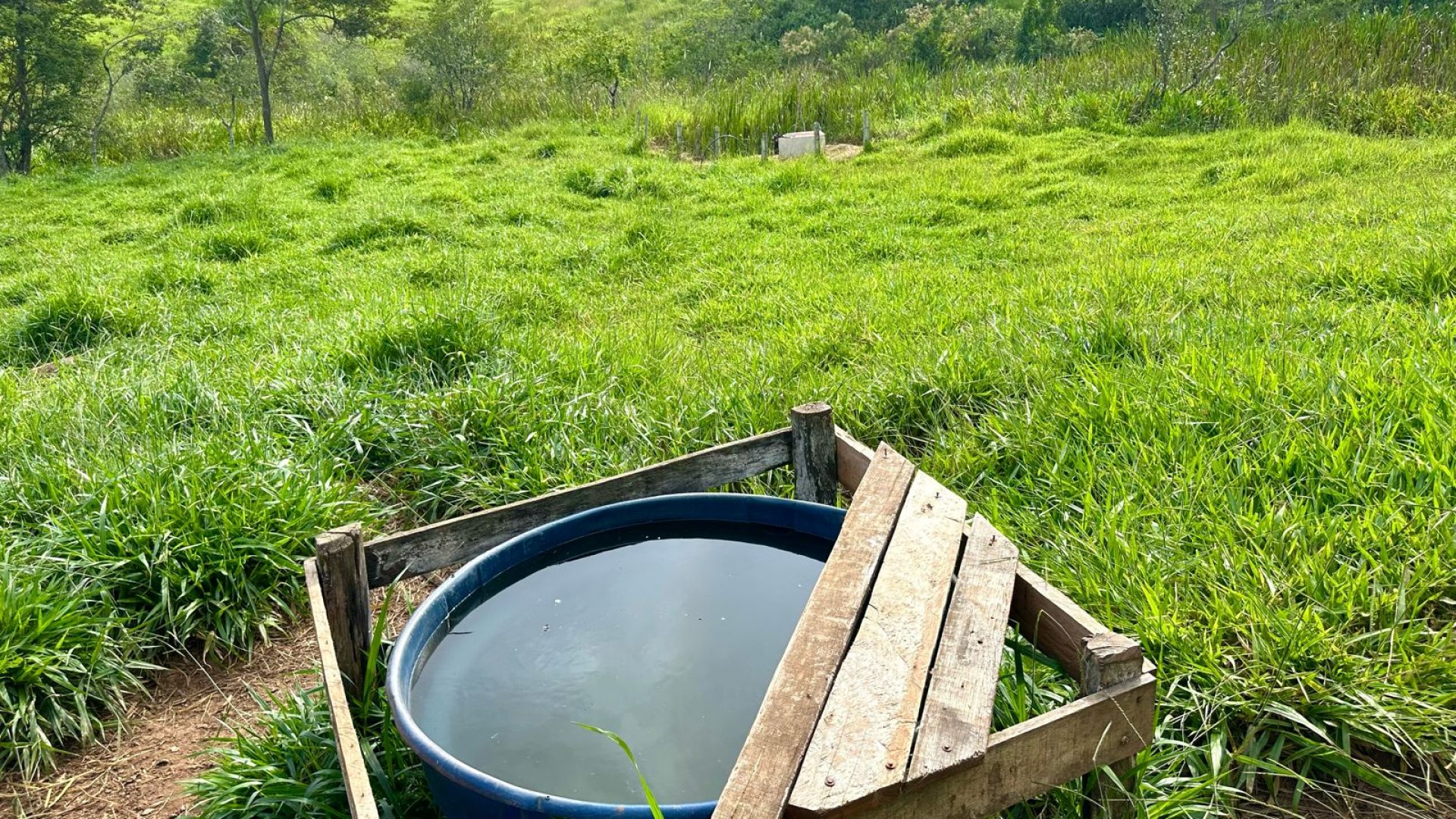 TERRENO RURAL DE 200.000 m² À VENDA EM CAMBUÍ NO SUL DE MINAS, TERRENO PARA VENDA EM CAMBUI, TERRENO PARA VENDER EM CAMBUI, TERRENO RURAL A VENDA NO SUL DE MINAS (21)