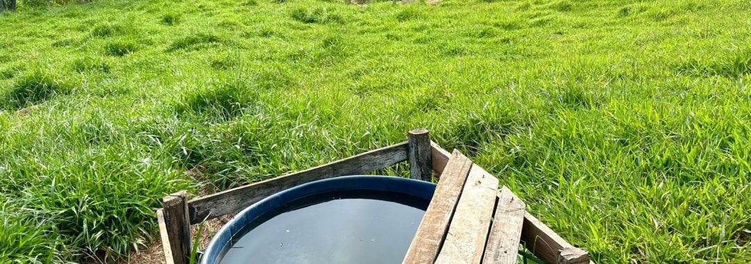 TERRENO RURAL DE 200.000 m² À VENDA EM CAMBUÍ NO SUL DE MINAS, TERRENO PARA VENDA EM CAMBUI, TERRENO PARA VENDER EM CAMBUI, TERRENO RURAL A VENDA NO SUL DE MINAS (21)