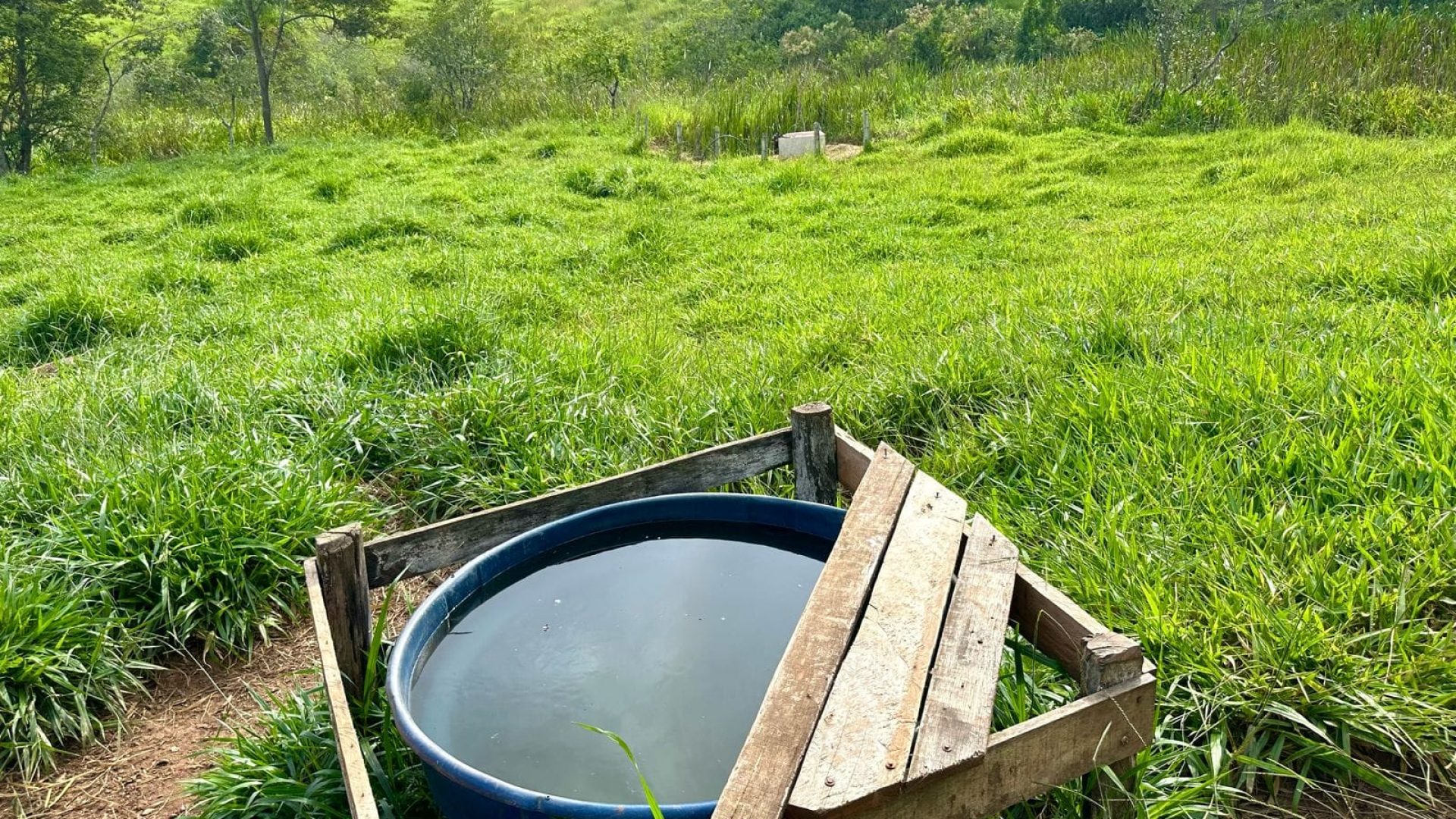 TERRENO RURAL DE 200.000 m² À VENDA EM CAMBUÍ NO SUL DE MINAS, TERRENO PARA VENDA EM CAMBUI, TERRENO PARA VENDER EM CAMBUI, TERRENO RURAL A VENDA NO SUL DE MINAS (21)