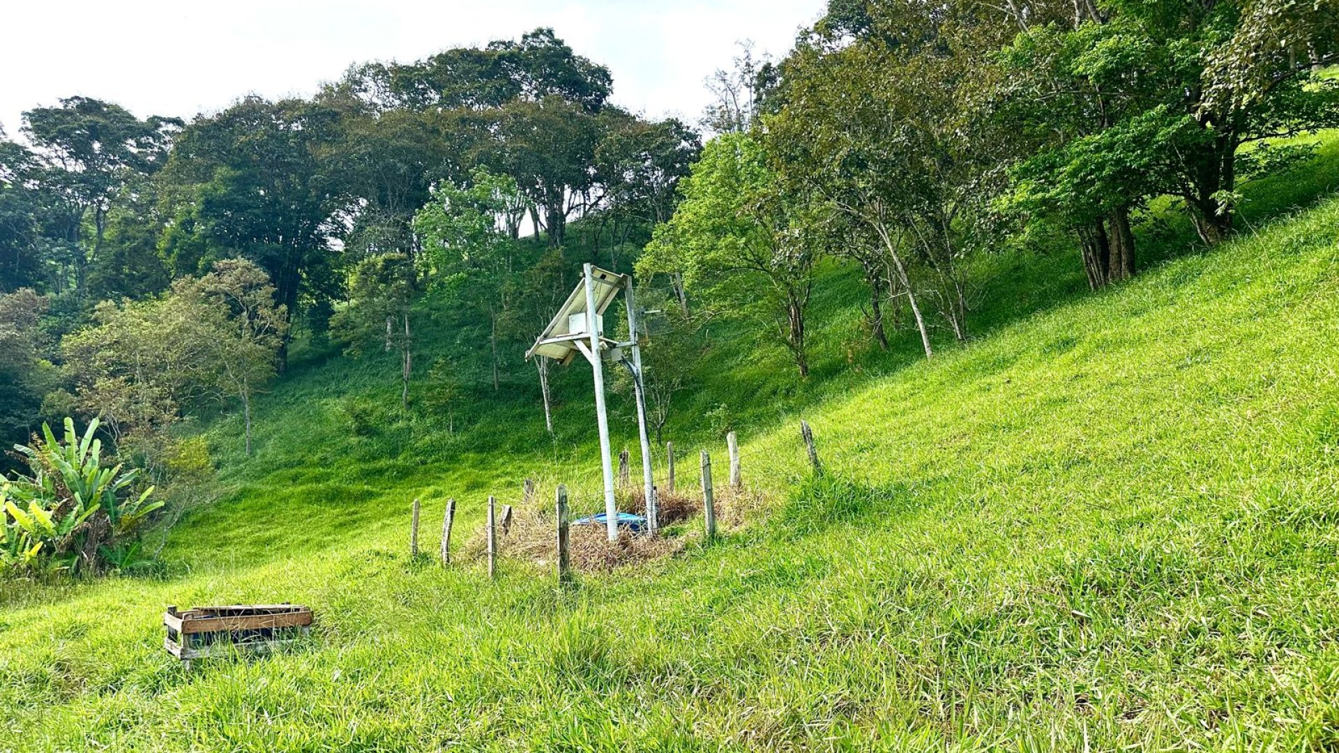 TERRENO RURAL DE 200.000 m² À VENDA EM CAMBUÍ NO SUL DE MINAS, TERRENO PARA VENDA EM CAMBUI, TERRENO PARA VENDER EM CAMBUI, TERRENO RURAL A VENDA NO SUL DE MINAS (22)