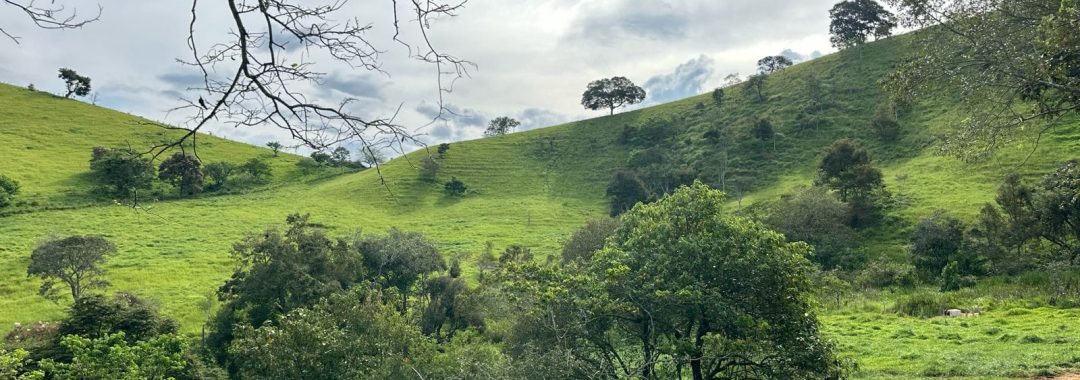 TERRENO RURAL DE 200.000 m² À VENDA EM CAMBUÍ NO SUL DE MINAS, TERRENO PARA VENDA EM CAMBUI, TERRENO PARA VENDER EM CAMBUI, TERRENO RURAL A VENDA NO SUL DE MINAS (23)
