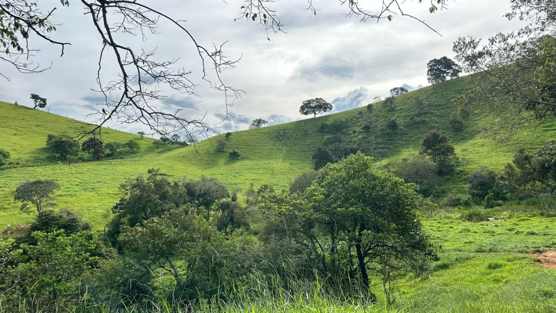 TERRENO RURAL DE 200.000 m² À VENDA EM CAMBUÍ NO SUL DE MINAS, TERRENO PARA VENDA EM CAMBUI, TERRENO PARA VENDER EM CAMBUI, TERRENO RURAL A VENDA NO SUL DE MINAS (23)