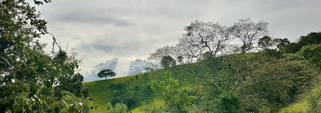 TERRENO RURAL DE 200.000 m² À VENDA EM CAMBUÍ NO SUL DE MINAS, TERRENO PARA VENDA EM CAMBUI, TERRENO PARA VENDER EM CAMBUI, TERRENO RURAL A VENDA NO SUL DE MINAS (24)