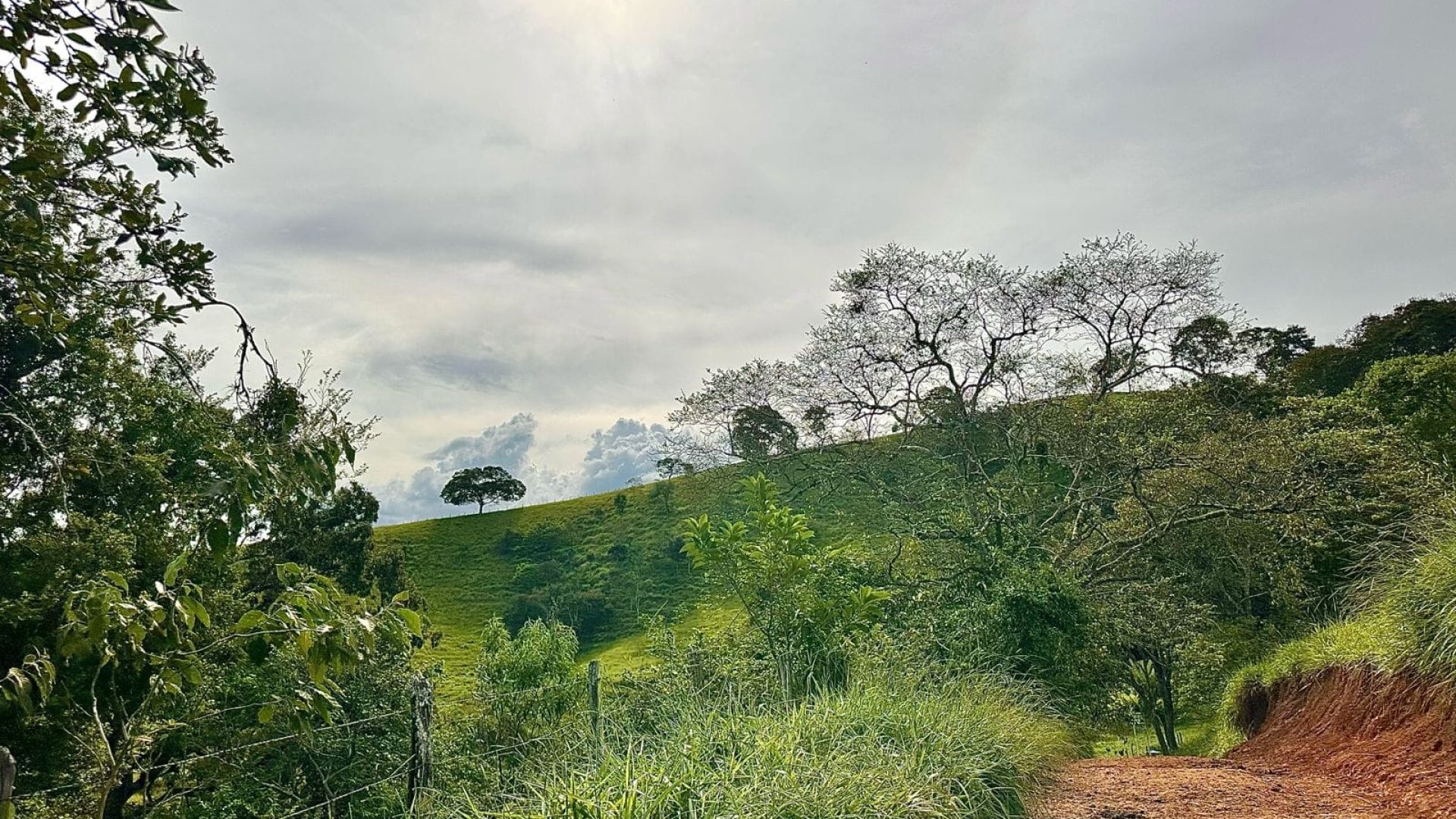 TERRENO RURAL DE 200.000 m² À VENDA EM CAMBUÍ NO SUL DE MINAS, TERRENO PARA VENDA EM CAMBUI, TERRENO PARA VENDER EM CAMBUI, TERRENO RURAL A VENDA NO SUL DE MINAS (24)