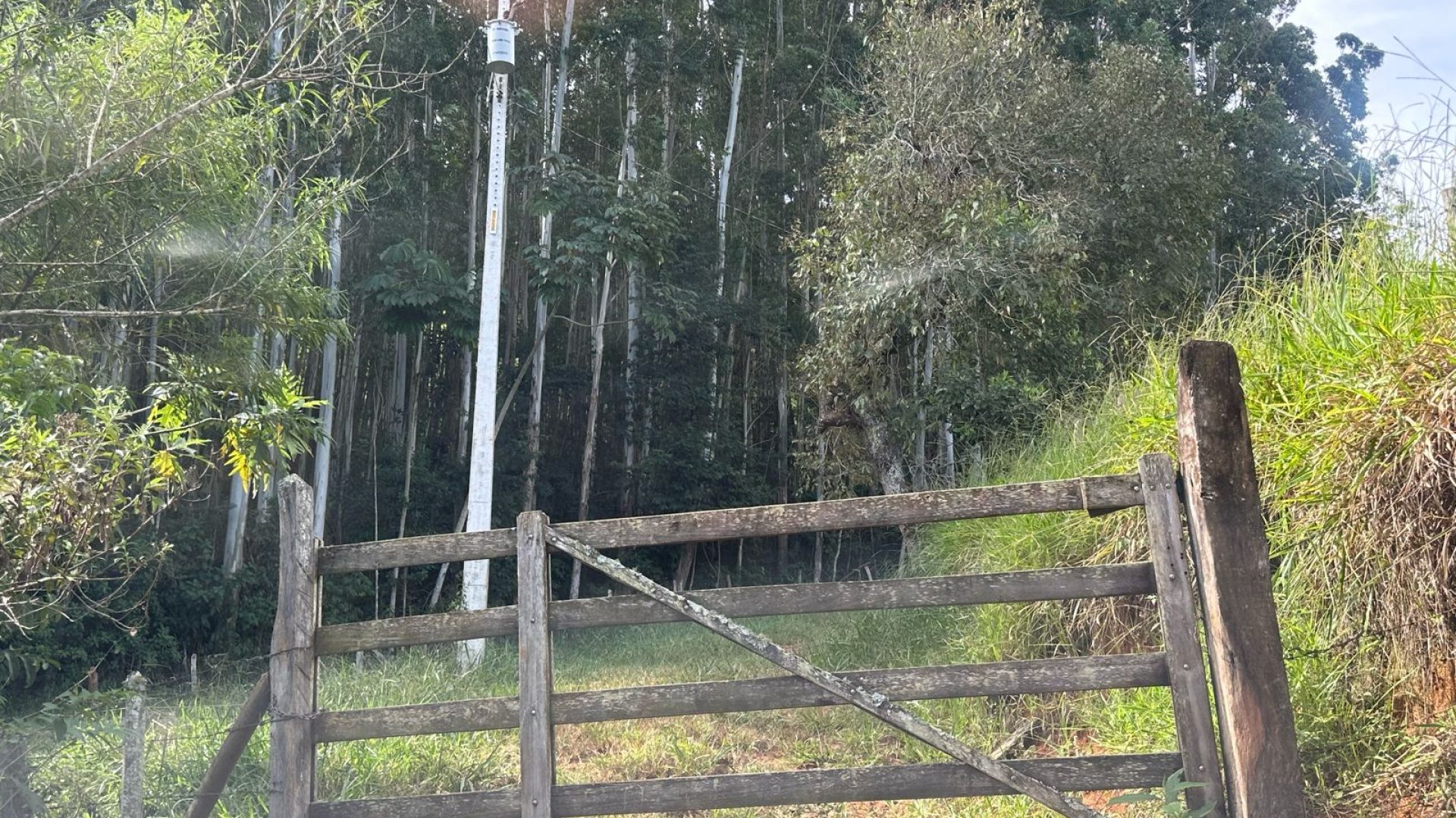 TERRENO RURAL DE 200.000 m² À VENDA EM CAMBUÍ NO SUL DE MINAS, TERRENO PARA VENDA EM CAMBUI, TERRENO PARA VENDER EM CAMBUI, TERRENO RURAL A VENDA NO SUL DE MINAS (25)