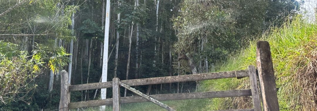 TERRENO RURAL DE 200.000 m² À VENDA EM CAMBUÍ NO SUL DE MINAS, TERRENO PARA VENDA EM CAMBUI, TERRENO PARA VENDER EM CAMBUI, TERRENO RURAL A VENDA NO SUL DE MINAS (25)