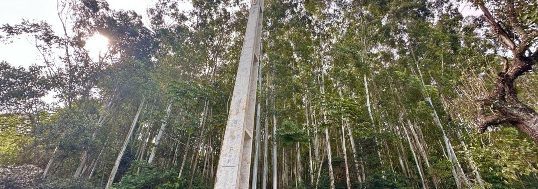 TERRENO RURAL DE 200.000 m² À VENDA EM CAMBUÍ NO SUL DE MINAS, TERRENO PARA VENDA EM CAMBUI, TERRENO PARA VENDER EM CAMBUI, TERRENO RURAL A VENDA NO SUL DE MINAS (26)