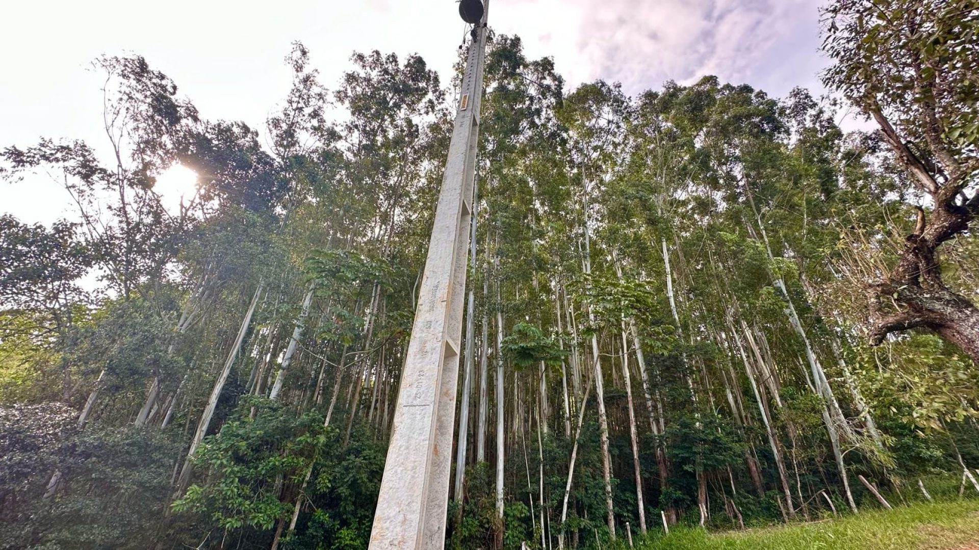 TERRENO RURAL DE 200.000 m² À VENDA EM CAMBUÍ NO SUL DE MINAS, TERRENO PARA VENDA EM CAMBUI, TERRENO PARA VENDER EM CAMBUI, TERRENO RURAL A VENDA NO SUL DE MINAS (26)