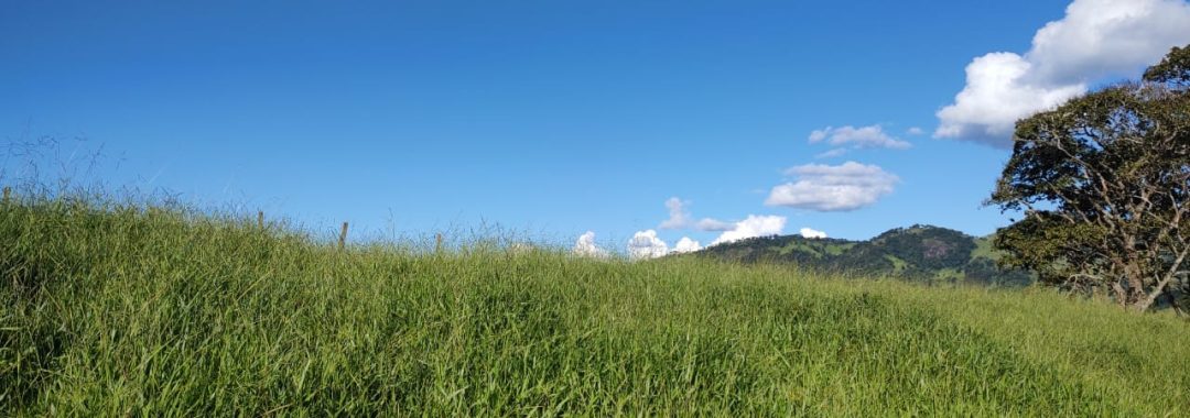 TERRENO RURAL DE 200.000 m² À VENDA EM CAMBUÍ NO SUL DE MINAS, TERRENO PARA VENDA EM CAMBUI, TERRENO PARA VENDER EM CAMBUI, TERRENO RURAL A VENDA NO SUL DE MINAS (3)