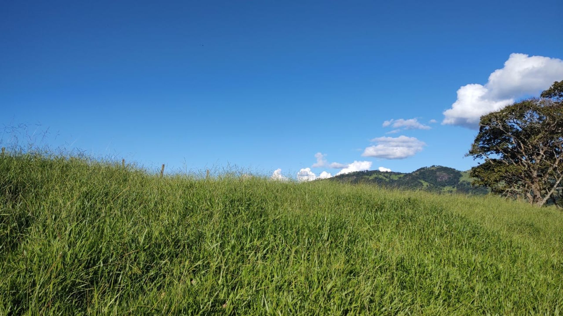 TERRENO RURAL DE 200.000 m² À VENDA EM CAMBUÍ NO SUL DE MINAS, TERRENO PARA VENDA EM CAMBUI, TERRENO PARA VENDER EM CAMBUI, TERRENO RURAL A VENDA NO SUL DE MINAS (3)