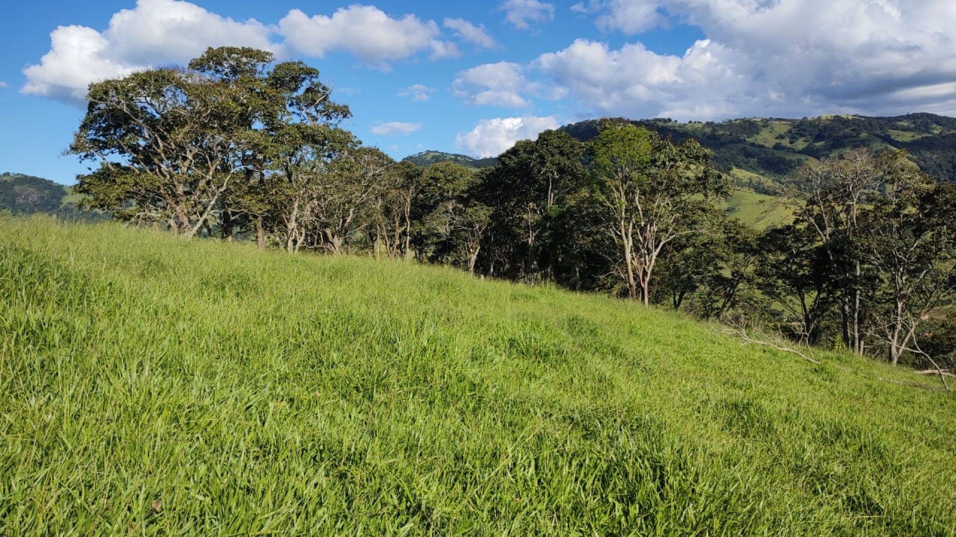 TERRENO RURAL DE 200.000 m² À VENDA EM CAMBUÍ NO SUL DE MINAS, TERRENO PARA VENDA EM CAMBUI, TERRENO PARA VENDER EM CAMBUI, TERRENO RURAL A VENDA NO SUL DE MINAS (4)