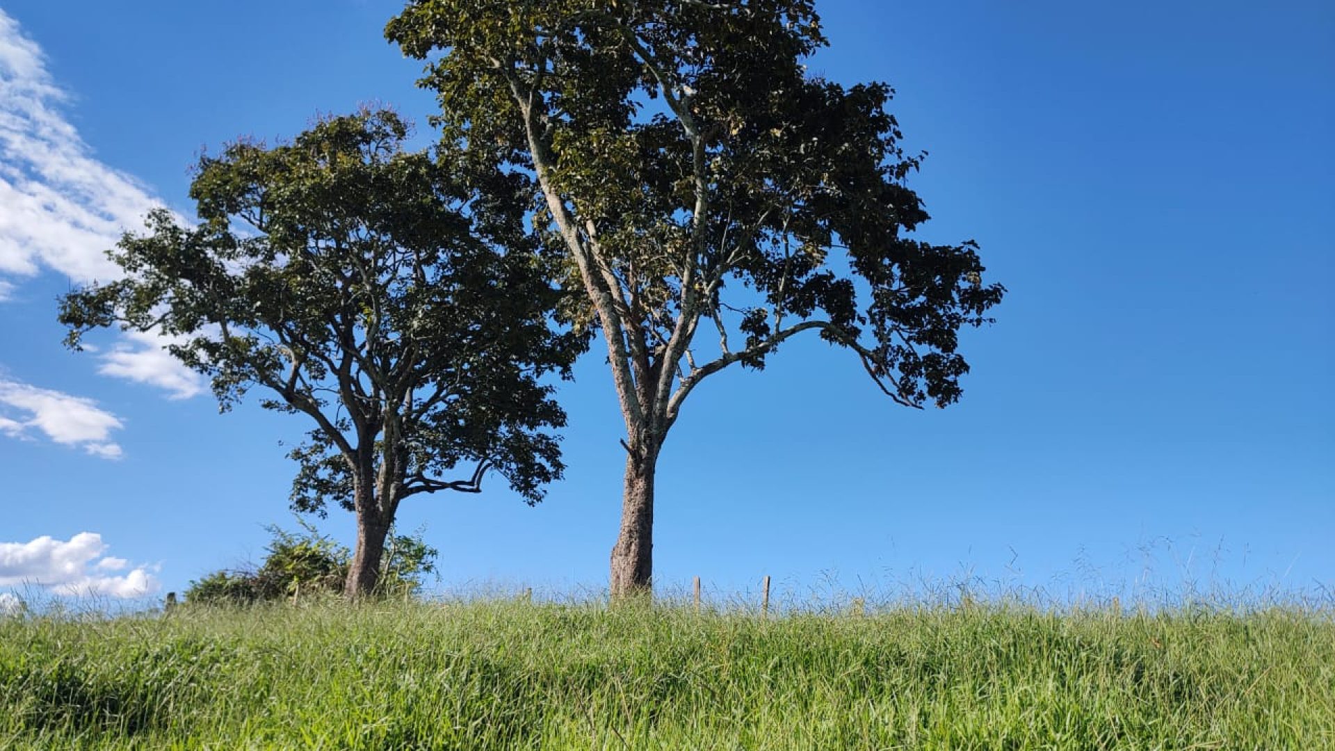 TERRENO RURAL DE 200.000 m² À VENDA EM CAMBUÍ NO SUL DE MINAS, TERRENO PARA VENDA EM CAMBUI, TERRENO PARA VENDER EM CAMBUI, TERRENO RURAL A VENDA NO SUL DE MINAS (5)