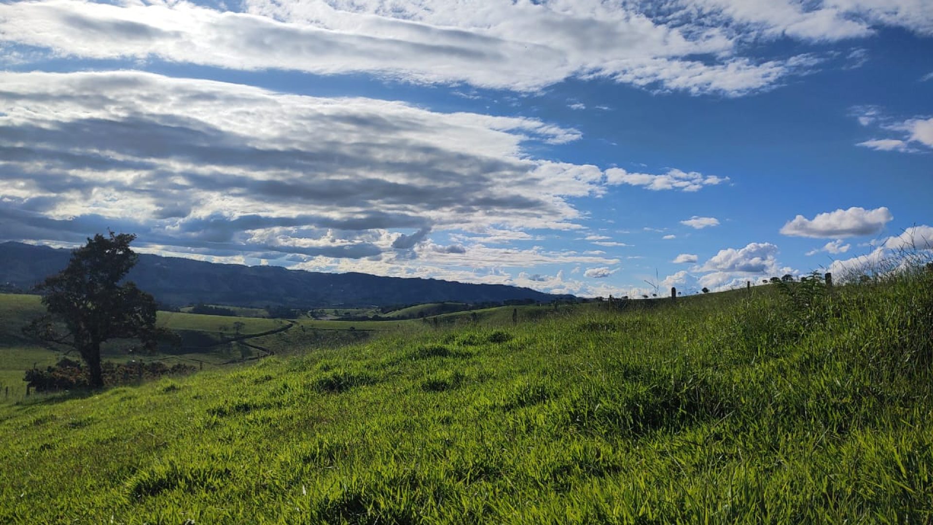 TERRENO RURAL DE 200.000 m² À VENDA EM CAMBUÍ NO SUL DE MINAS, TERRENO PARA VENDA EM CAMBUI, TERRENO PARA VENDER EM CAMBUI, TERRENO RURAL A VENDA NO SUL DE MINAS (6)