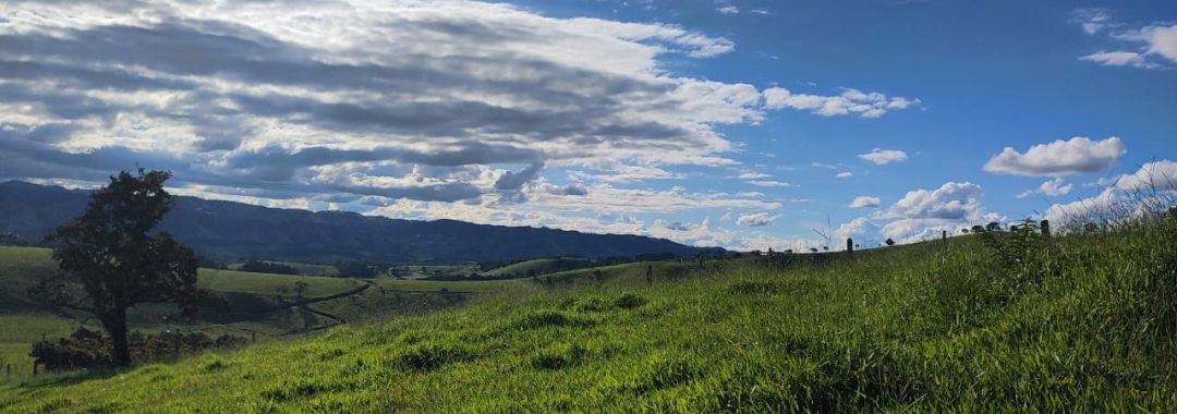 TERRENO RURAL DE 200.000 m² À VENDA EM CAMBUÍ NO SUL DE MINAS, TERRENO PARA VENDA EM CAMBUI, TERRENO PARA VENDER EM CAMBUI, TERRENO RURAL A VENDA NO SUL DE MINAS (6)
