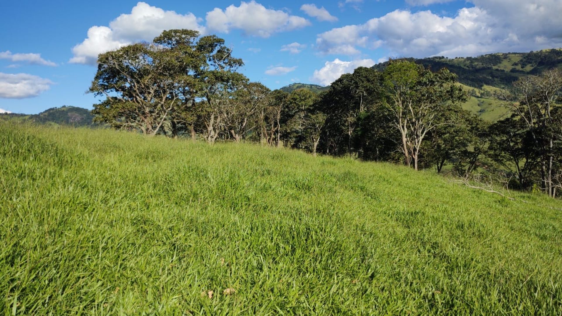 TERRENO RURAL DE 200.000 m² À VENDA EM CAMBUÍ NO SUL DE MINAS, TERRENO PARA VENDA EM CAMBUI, TERRENO PARA VENDER EM CAMBUI, TERRENO RURAL A VENDA NO SUL DE MINAS (9)