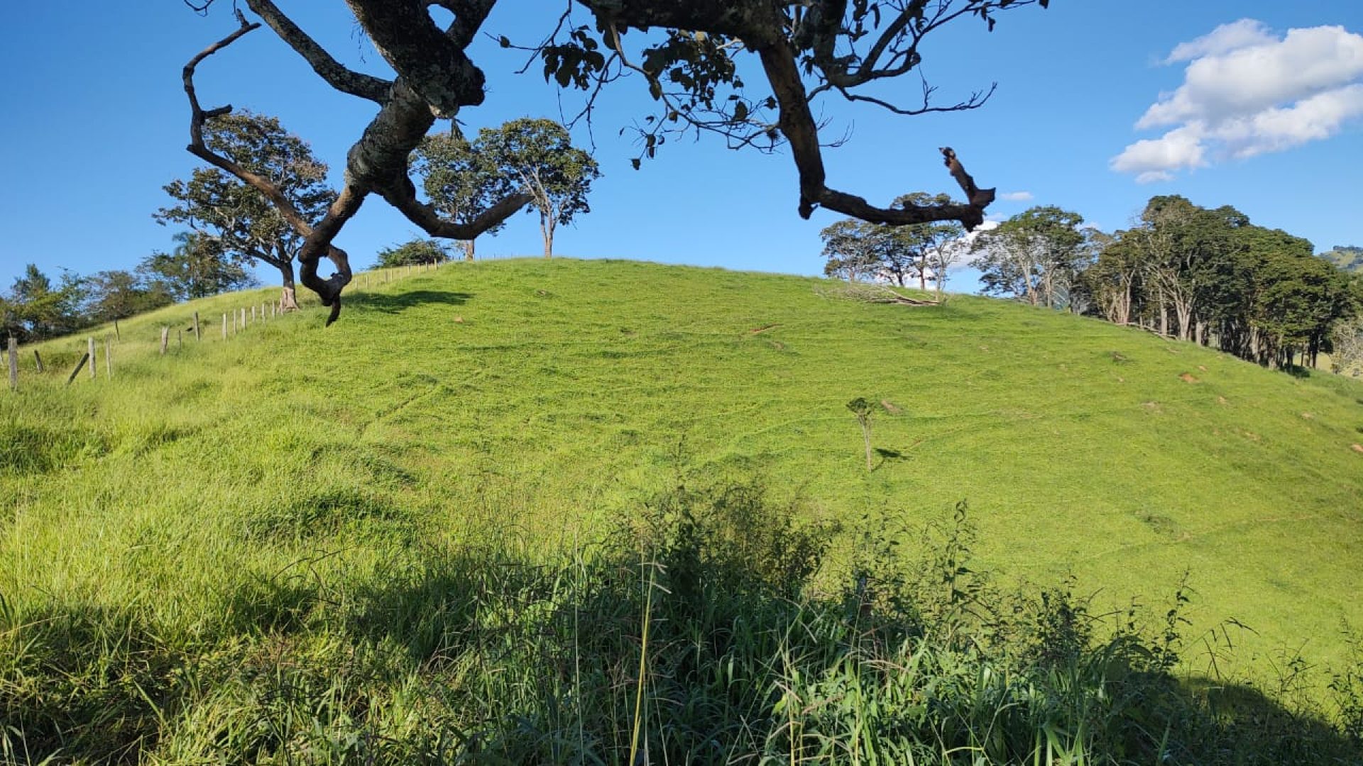 TERRENO RURAL DE 200.000 m² À VENDA EM CAMBUÍ NO SUL DE MINAS, TERRENO PARA VENDA EM CAMBUI, TERRENO PARA VENDER EM CAMBUI, TERRENO RURAL A VENDA NO SUL DE MINAS