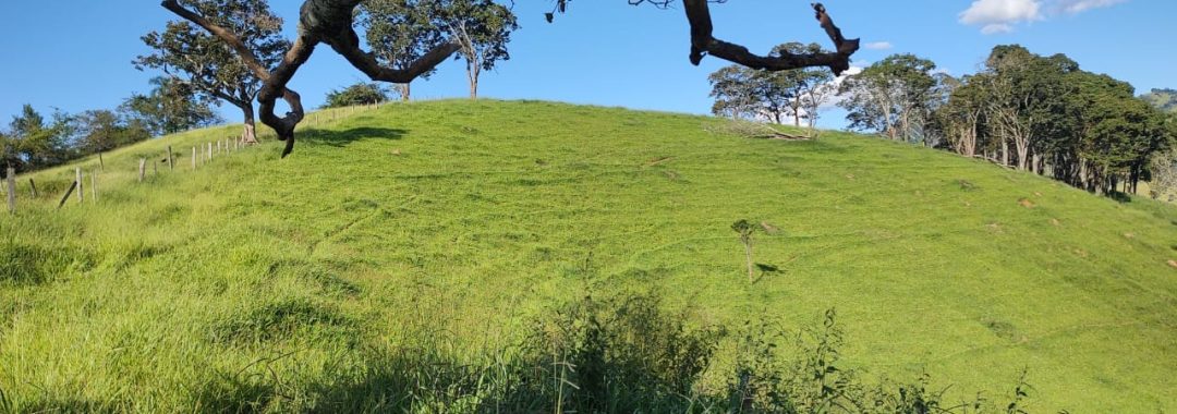 TERRENO RURAL DE 200.000 m² À VENDA EM CAMBUÍ NO SUL DE MINAS, TERRENO PARA VENDA EM CAMBUI, TERRENO PARA VENDER EM CAMBUI, TERRENO RURAL A VENDA NO SUL DE MINAS