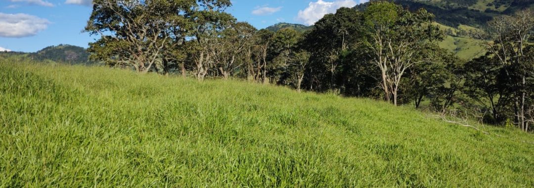 Terreno rural de 200.000m² em Cambuí, Sul de Minas, com localização estratégica a apenas 600 metros do asfalto (Fernão Dias) e a 9 km da cidade.