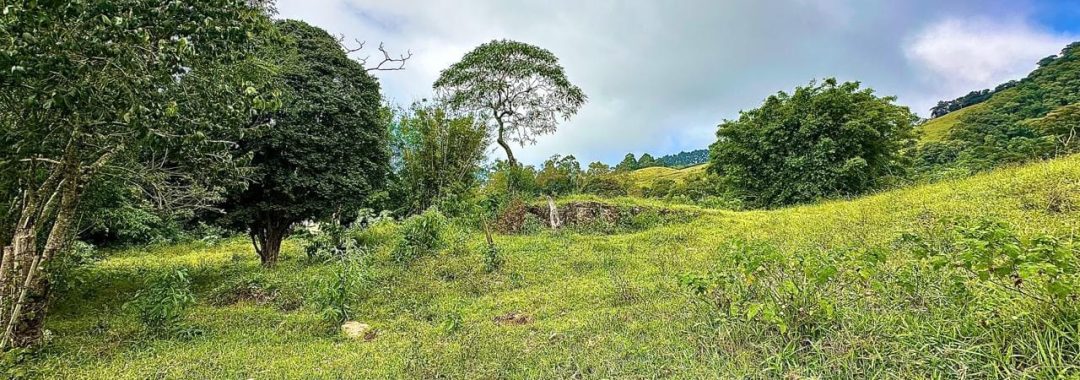 TERRENO RURAL DE 72.000 m² À VENDA EM CAMBUÍ NO ALTO DA SERRA DA MANTIQUEIRA (1)