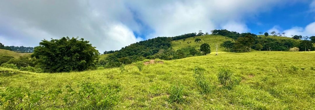 TERRENO RURAL DE 72.000 m² À VENDA EM CAMBUÍ NO ALTO DA SERRA DA MANTIQUEIRA (2)