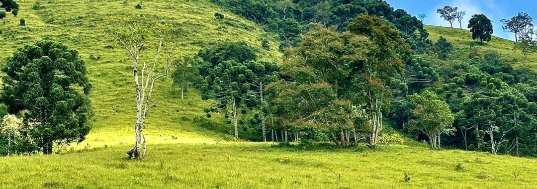 TERRENO RURAL DE 72.000 m² À VENDA EM CAMBUÍ NO ALTO DA SERRA DA MANTIQUEIRA (3)