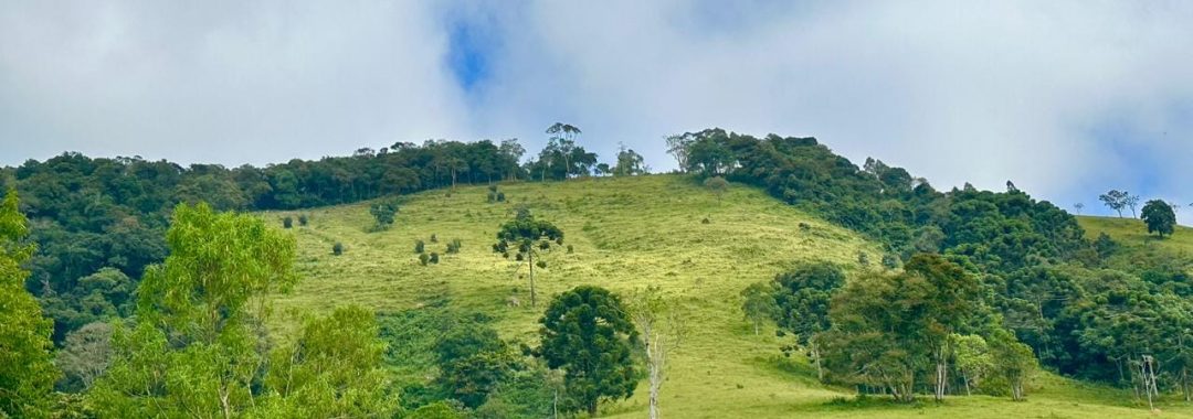 TERRENO RURAL DE 72.000 m² À VENDA EM CAMBUÍ NO ALTO DA SERRA DA MANTIQUEIRA (4)