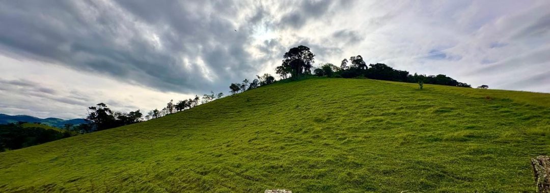 TERRENO RURAL PARA VENDA EM CAMBUI NO SUL DE MINAS, 170.000M2, SILVA CORRETOR, IMOBILIARIA EM CAMBUI, TERRENO PARA VENDA EM CAMBUI (4)