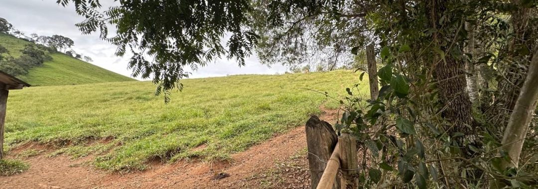 TERRENO RURAL PARA VENDA EM CAMBUI NO SUL DE MINAS, 170.000M2, SILVA CORRETOR, IMOBILIARIA EM CAMBUI, TERRENO PARA VENDA EM CAMBUI (7)