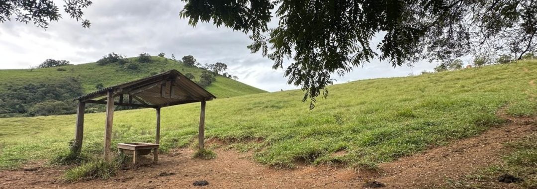 TERRENO RURAL PARA VENDA EM CAMBUI NO SUL DE MINAS, 170.000M2, SILVA CORRETOR, IMOBILIARIA EM CAMBUI, TERRENO PARA VENDA EM CAMBUI (8)