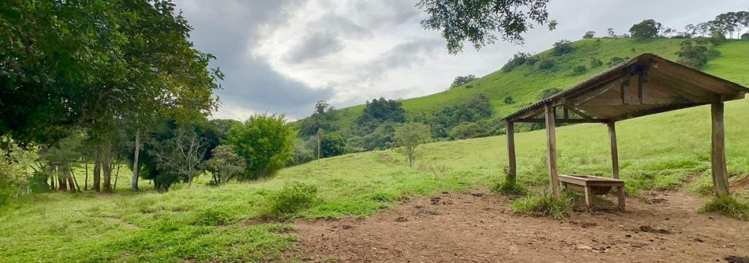Terreno à Venda em Cambuí no Sul de Minas, localizado a 4 km aproximadamente do asfalto (Fernão Dias), com excelente acesso e pasto formado.