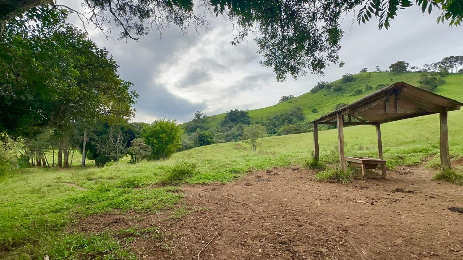 Terreno à Venda em Cambuí no Sul de Minas, localizado a 4 km aproximadamente do asfalto (Fernão Dias), com excelente acesso e pasto formado.