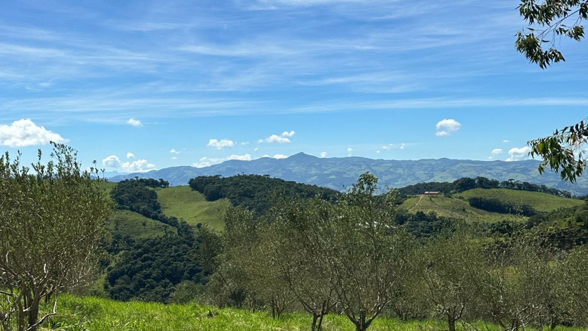 “Oportunidade Única: Terreno Rural de 44.000m² com Oliveiras e Vista de Cartão Postal para a Serra da Mantiqueira!”