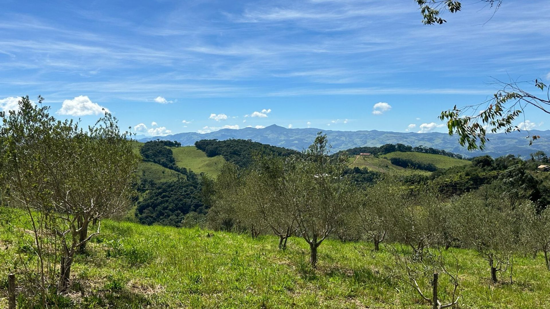 Terreno Rural à venda de 44.000m² com lindíssima vista panorâmica para a Serra da Mantiqueira, SILVA CORRETOR DE IMÓVEIS, CAMBUI, SUL DE MINAS, A VENDA (17)