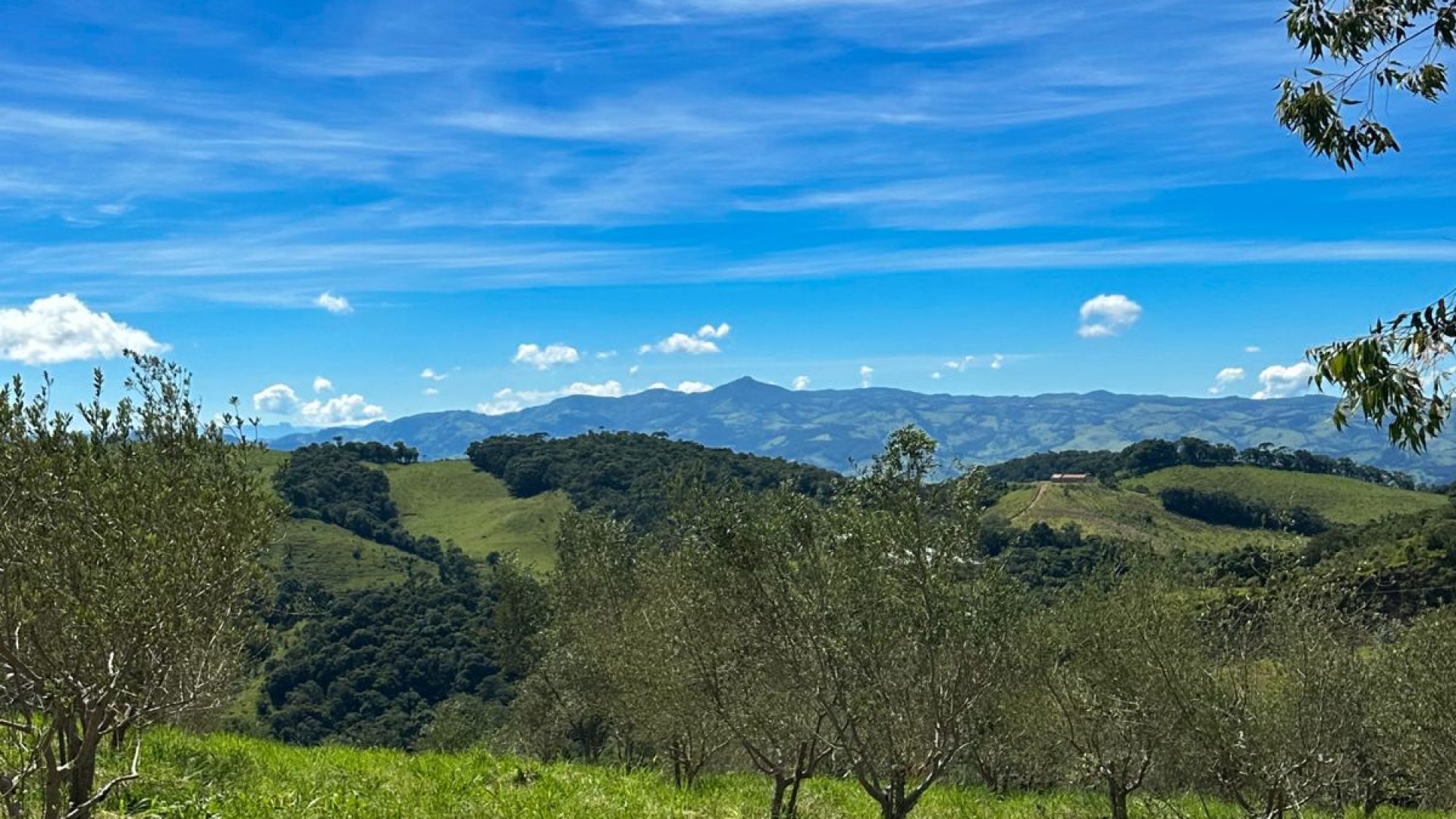 Terreno Rural à venda de 44.000m² com lindíssima vista panorâmica para a Serra da Mantiqueira, SILVA CORRETOR DE IMÓVEIS, CAMBUI, SUL DE MINAS, A VENDA (2)