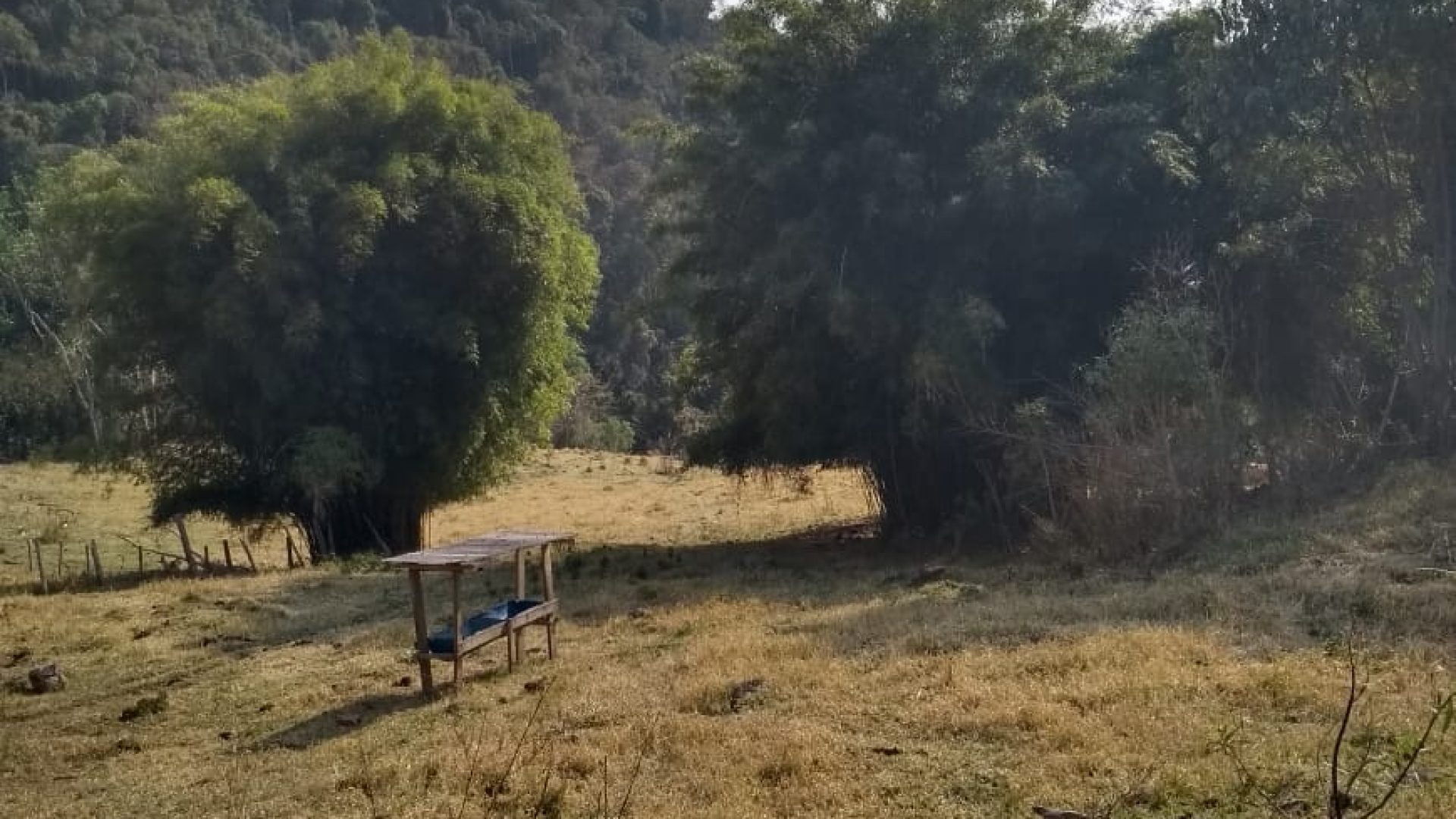 Terreno Rural de 121.000m² à Venda na Região da Cidade de Cambuí - Sul de Minas (2)