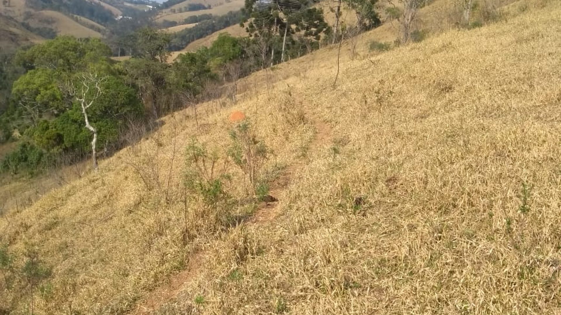 Terreno Rural de 121.000m² à Venda na Região da Cidade de Cambuí - Sul de Minas (3)