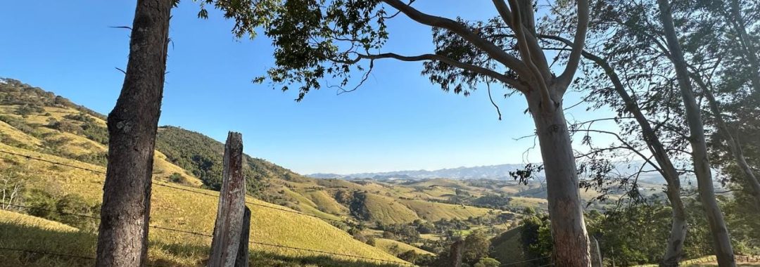 Terreno Rural de 36.000m² à Venda - A 1.500m do Asfalto - Cambuí-MG (6)