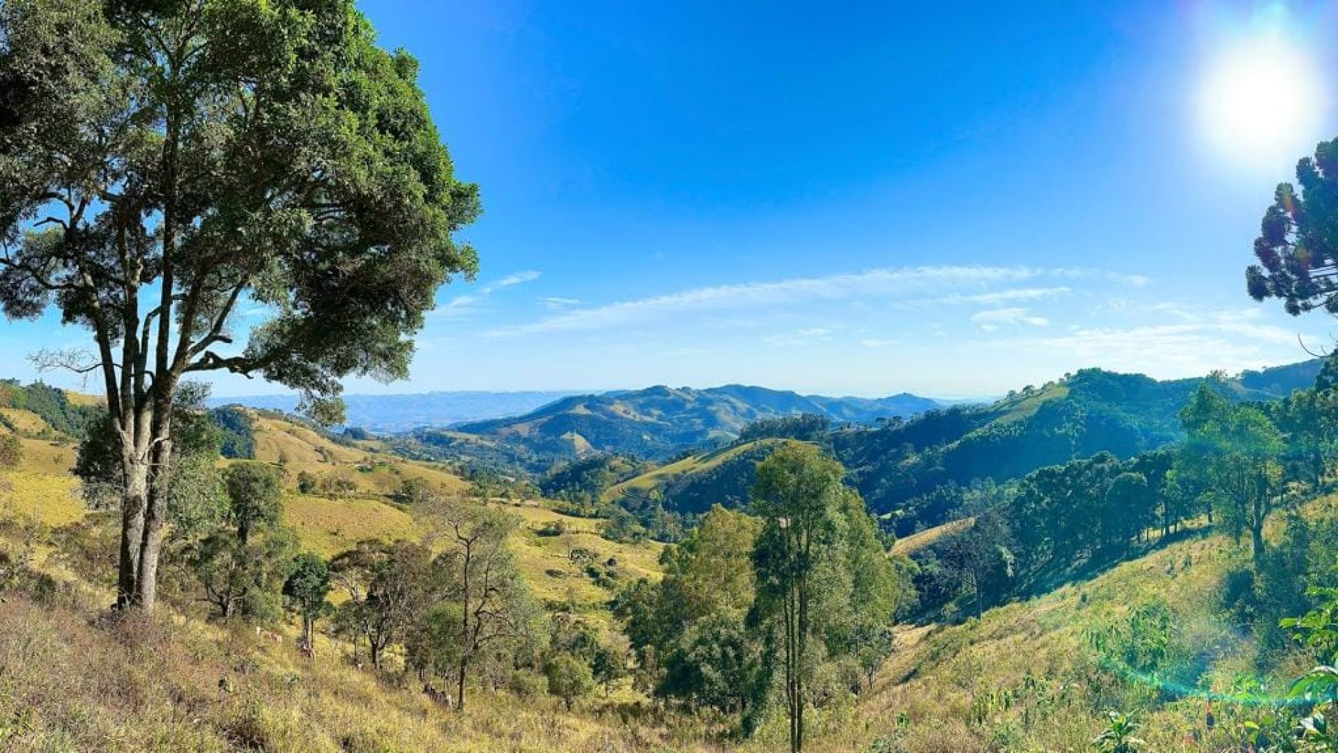 Terreno à venda de 20.000m² com Vista Panorâmica – 1.550m de Altitude (4)