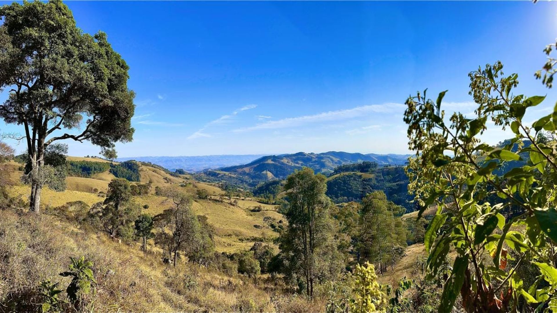 Terreno à venda de 20.000m² com Vista Panorâmica – 1.550m de Altitude (5)