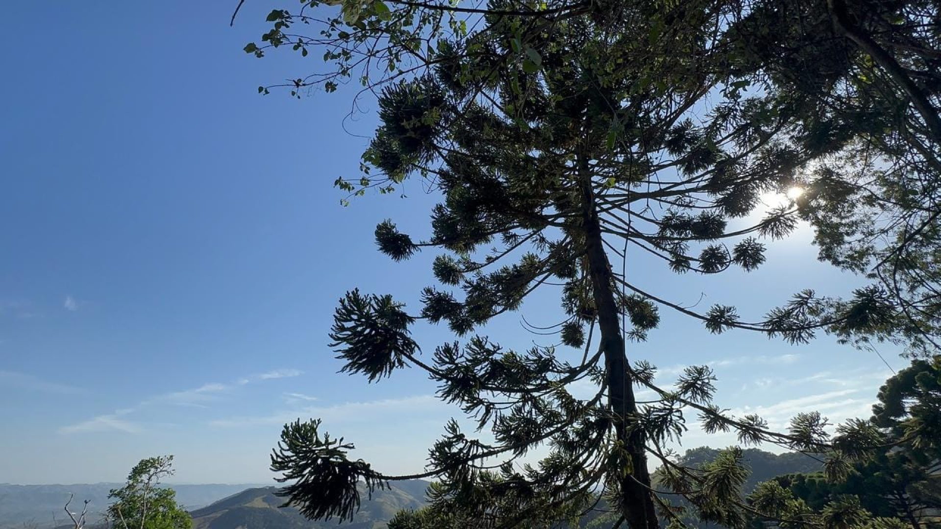 Terreno à venda de 20.000m² com Vista Panorâmica – 1.550m de Altitude (8)