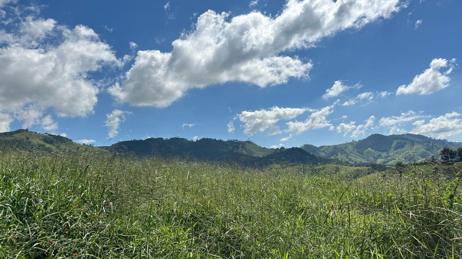 Terreno de 20.000 m² em Cambuí-MG, SILVA CORRETOR, SUL DE MINAS (1)