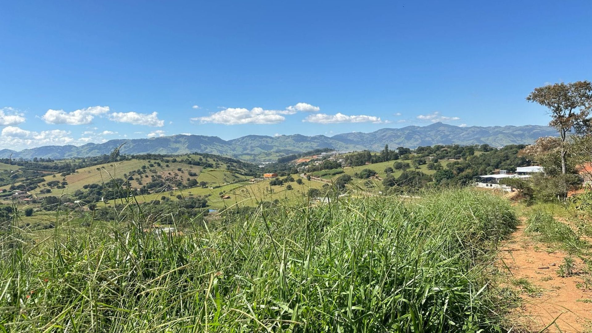 Terreno de 20.000 m² em Cambuí-MG, SILVA CORRETOR, SUL DE MINAS (2)