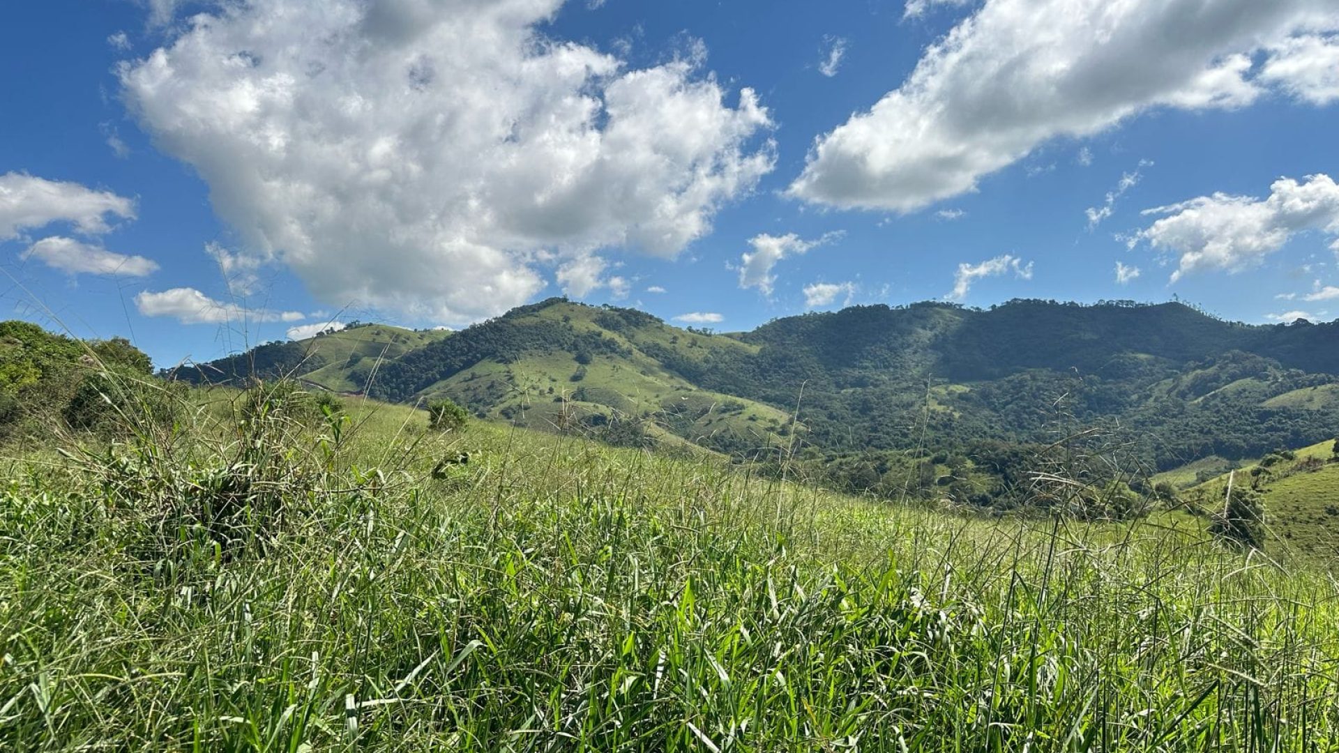 Terreno de 20.000 m² em Cambuí-MG, SILVA CORRETOR, SUL DE MINAS (4)