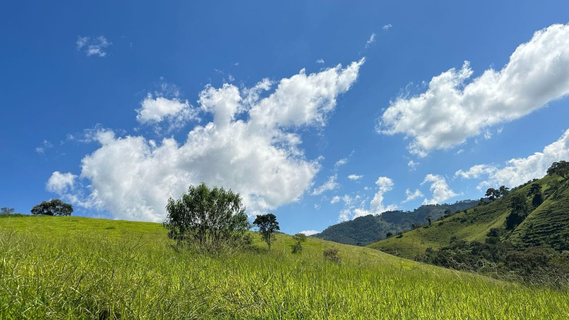 Terreno de 20.000 m² em Cambuí-MG, SILVA CORRETOR, SUL DE MINAS (5)