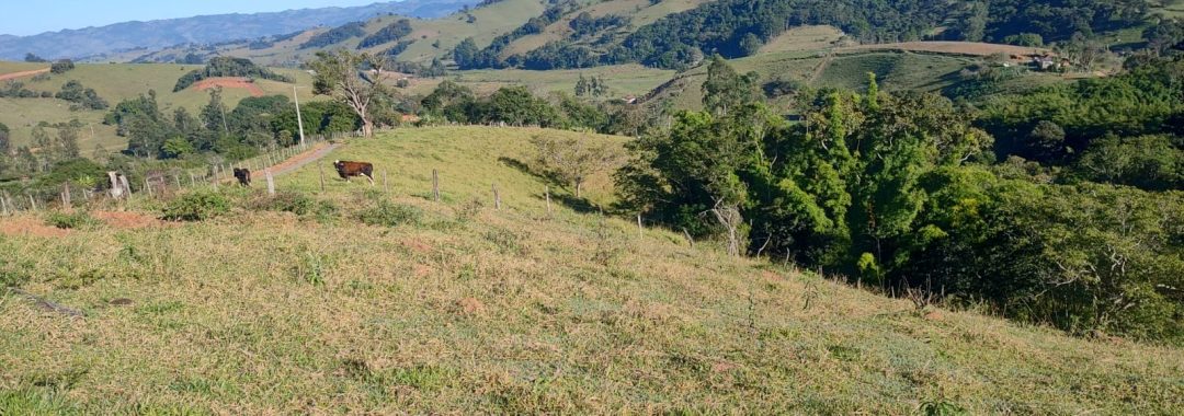Terreno para chácara com riacho à venda em Córrego do Bom Jesus MG (1)