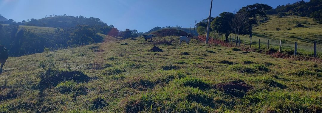 Terreno para chácara com riacho à venda em Córrego do Bom Jesus MG (2)